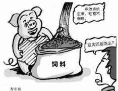 病害肉檢測(cè)儀教您如何挑選健康肉