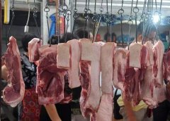 病害肉檢測儀為消費吃上放心肉“保駕護航”